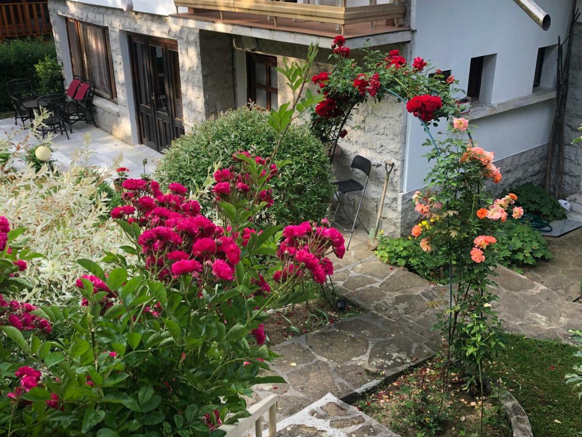 Luylyana Guesthouse Ribarica Exterior foto