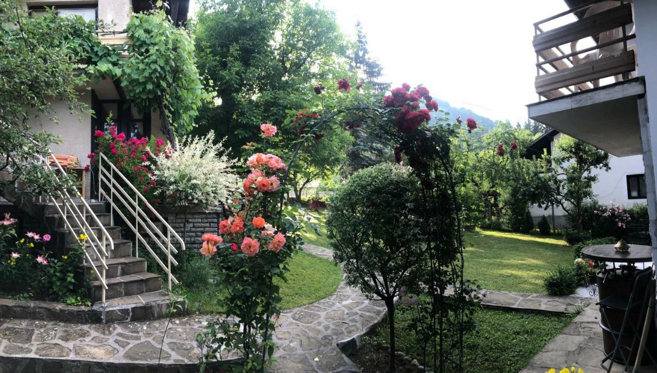 Luylyana Guesthouse Ribarica Exterior foto